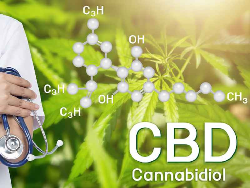 cbd в медицине