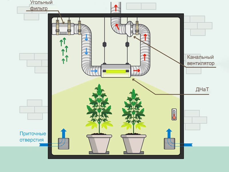 Схема строения гроубокса для конопли с использованием ДНаТ